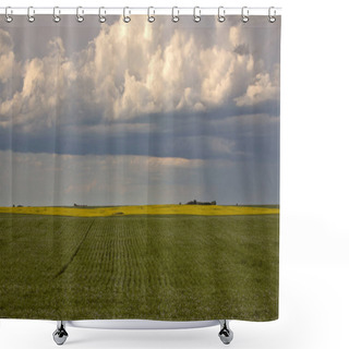 Personality  Storm Clouds Approaching Saskatchewan Canola Crop Shower Curtains