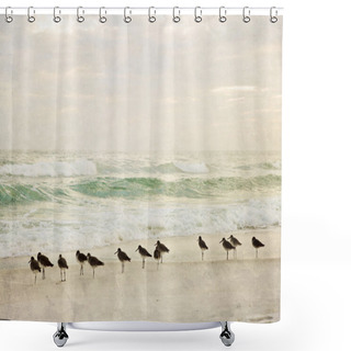 Personality  Textured Painterly Beach And Surf With Shore Birds Shower Curtains