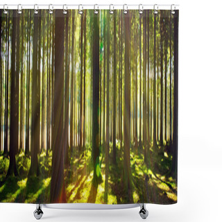 Personality  Bright Sun In The Forest  . Shower Curtains