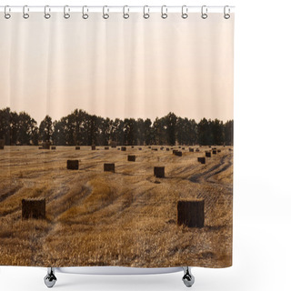 Personality  Green Trees Near Wheat Field With Hay In Evening  Shower Curtains
