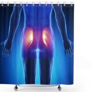 Personality  Muscles Anatomy Map Shower Curtains