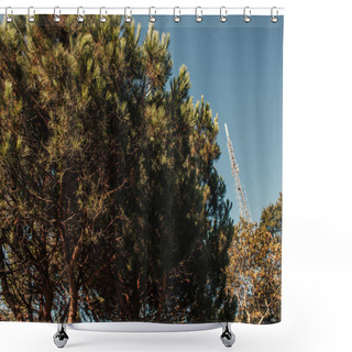 Personality  High Coniferous Trees Against Blue Sky Shower Curtains