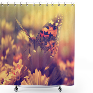 Personality  Butterfly In Sunset Shower Curtains