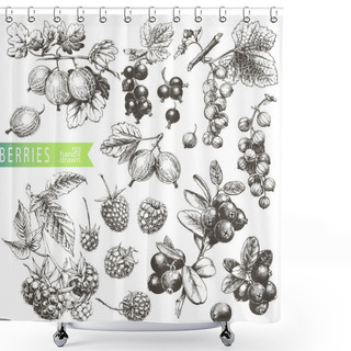 Personality  Berries. Shower Curtains