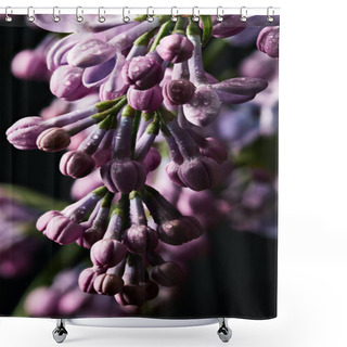 Personality  Close-up Shot Of Beautiful Closed Lilac Flowers Covered With Water Drops Shower Curtains