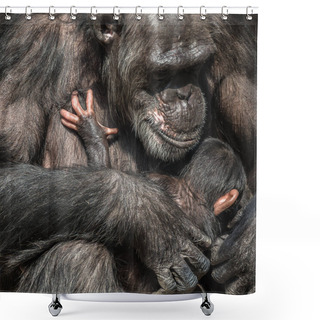 Personality  Portrait Of Mother Chimpanzee With Her Funny Small Baby, Extreme Closeup Shower Curtains