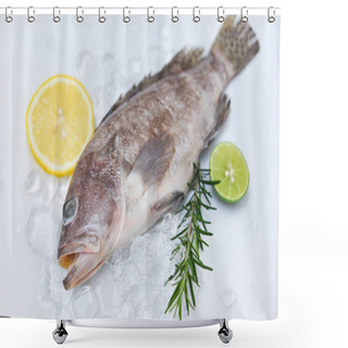 Personality  Fresh Raw Seafood Fish For Cooked Food, Grouper Fish On Ice With Rosemary Lemon Shower Curtains