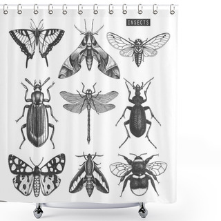Personality  Hand Drawn Collection Of Different Kinds Of Insects Shower Curtains