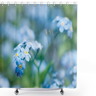 Personality  Forget-Me-Not Flowers Shower Curtains