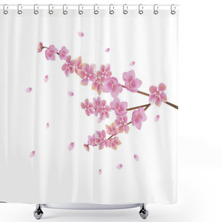 Personality   Sakura   .Spring   Flowers Sakura Blossom Shower Curtains