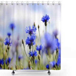 Personality  Cornflowers Shower Curtains