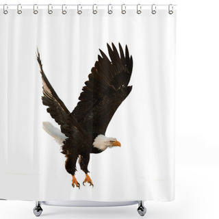 Personality  The Bald Eagle (Haliaeetus Leucocephalus) Shower Curtains