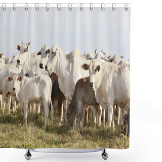 Personality  Cattle Shower Curtains