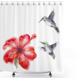 Personality  Watercolor Humming Birds And Hibiscus Shower Curtains