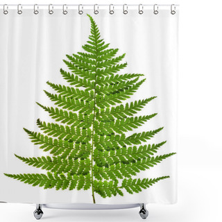 Personality  Green Sprig Of Fern Shower Curtains