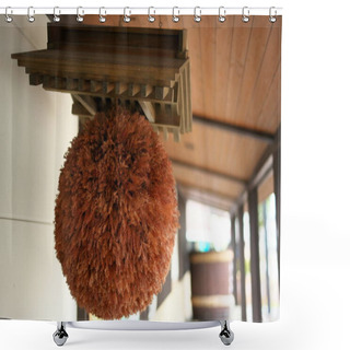 Personality  Akita,Japan-October 4, 2019: Sugidama, Ball Made From Sprigs Of Japanese Cedar, Traditionally Hung In The Eaves Of Sake Breweries Shower Curtains