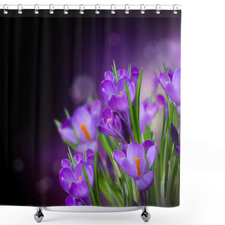 Personality  Crocus Spring Flowers Design Over Black Shower Curtains