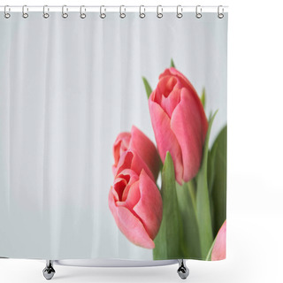 Personality  Spring Blooming Pink Tulips With Green Leaves Isolated On White Shower Curtains