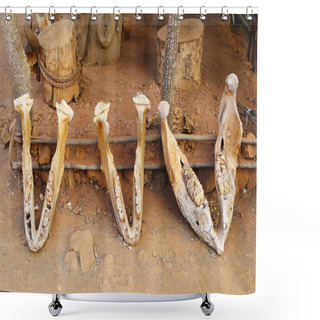 Personality  Elephant Jaws In Shakaland Zulu Village, South Africa Shower Curtains
