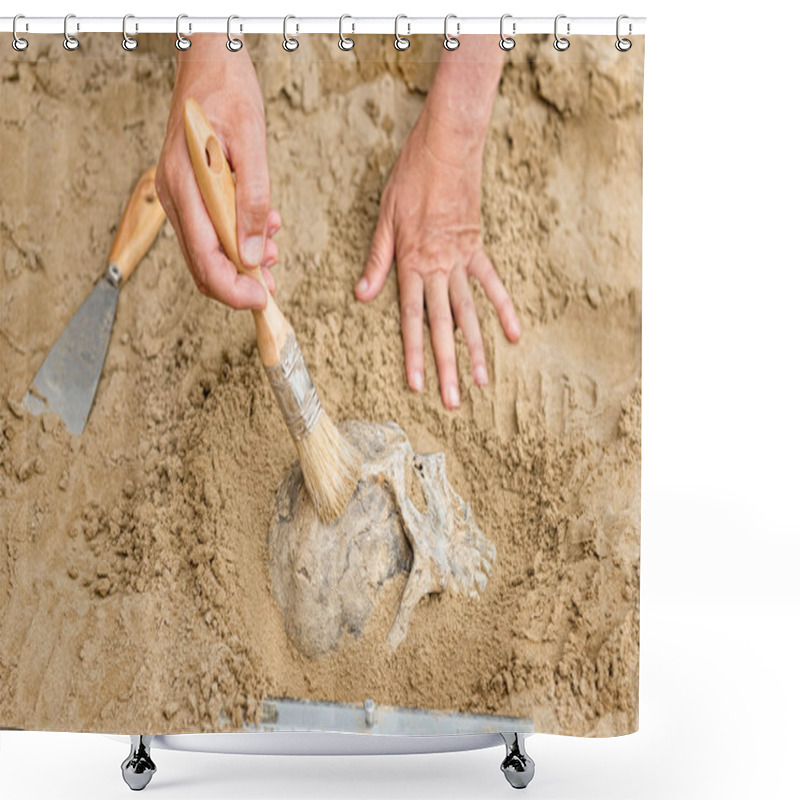 Personality   Hands Of Anthropologist With Human Skull  Shower Curtains