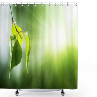 Personality  Leaves Of Birch In Forest Shower Curtains