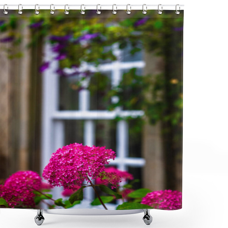 Personality  Bright Pink Flowers In The Garden Of A Historic House In Britain Shower Curtains