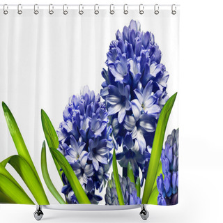 Personality  Hyacinth Flower Shower Curtains