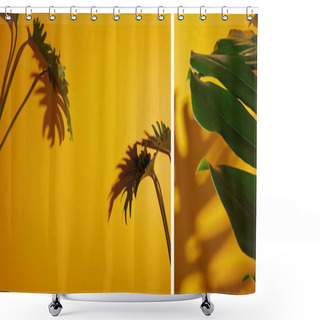 Personality  Collage Of Tropical Green Leaves On Yellow Background With Shadow Shower Curtains