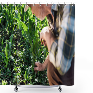 Personality  Cropped View Of Self-employed Farmer Sitting Near Green Corn Field  Shower Curtains