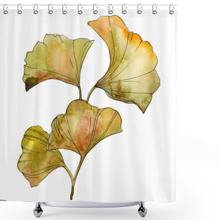 Personality  Yellow And Green Ginkgo Biloba Isolated Leaves. Watercolor Background Illustration Set.  Shower Curtains