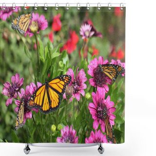 Personality  Monarch Butterflies And Purple Daisies Shower Curtains