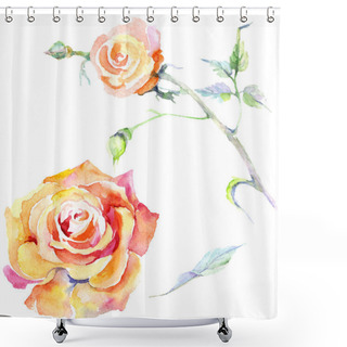 Personality  Orange Rose Flowers. Watercolor Background Illustration Set. Watercolour Drawing Fashion Aquarelle Isolated. Isolated Rose Illustration Element. Shower Curtains