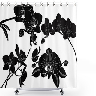Personality  Orchid Flowers Collection Shower Curtains