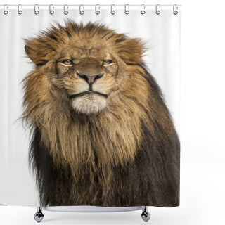 Personality  Close-up Of A Lion, Panthera Leo, 10 Years Old, Isolated On Whit Shower Curtains