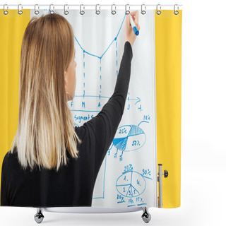 Personality  Back View Of Businesswoman Drawing Graphics And Diagrams On White Office Board Shower Curtains