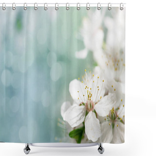 Personality  White Cherry Tree Flower In Spring Shower Curtains
