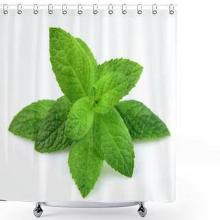 Personality  Mint Leaf Shower Curtains