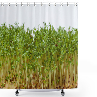 Personality  Fresh Alfalfa Sprouts And Cress On White Background Shower Curtains