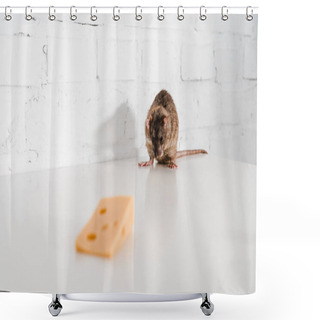 Personality  Selective Focus Of Small Rat Near Tasty Cheese On Table  Shower Curtains