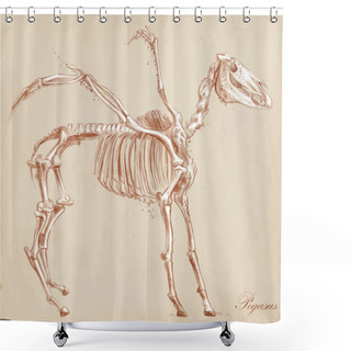 Personality  An Hand Drawn Vector: Pegasus Shower Curtains