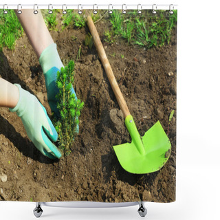 Personality  Gardener Planting Tree In Spring Shower Curtains