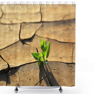 Personality  Plant Growing Through Dry Cracked Soil Shower Curtains