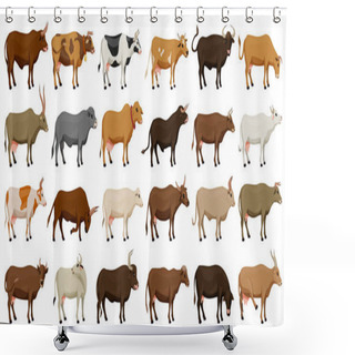 Personality  Cow Of Animal Vector Cartoon Set Icon.Isolated Cartoon Icon Farm Animal Of Cow.Vector Illustration Cattle For Farm On White Background. Shower Curtains