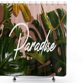 Personality  Fresh Tropical Green Leaves On Pink Background With Paradise Illustration Shower Curtains