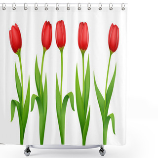 Personality  Tulip. Decorative Garden Spring Flower. Vector Illustration. Shower Curtains