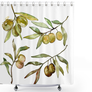 Personality  Green Olives Watercolor Background. Watercolour Drawing Aquarelle. Green Leaf Isolated Olives Illustration Element. Shower Curtains