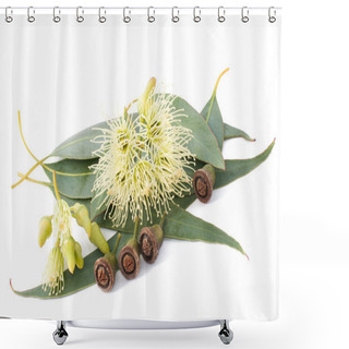 Personality  Eucalyptus Shower Curtains