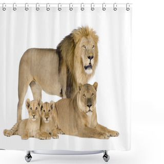 Personality  Lioness (8 Years) - Panthera Leo Shower Curtains