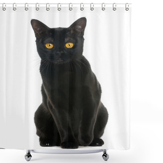 Personality  Bombay Cat Sitting And Looking At The Camera, Isolated On White Shower Curtains