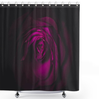 Personality  Purple Rose In Dark Shower Curtains